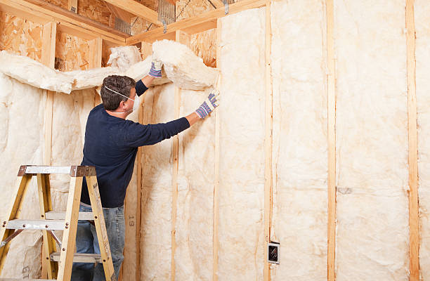 Best Eco-Friendly Insulation Solutions  in West Jefferson, OH